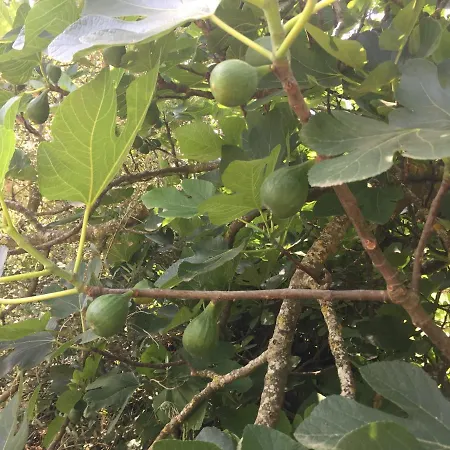 Mattandre 4* Монтерони-ди-Лечче