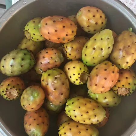 Mattandre לינה וארוחת בוקר