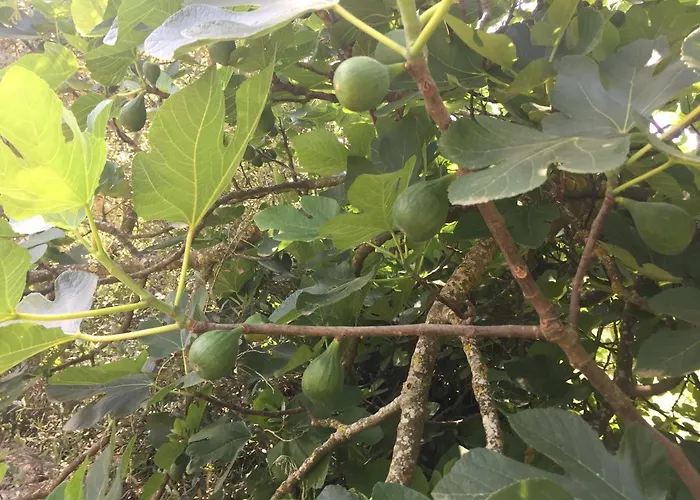 Mattandre 4* 몬테로니디레체